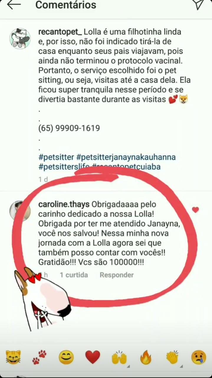 Depoimentos Recanto Pet