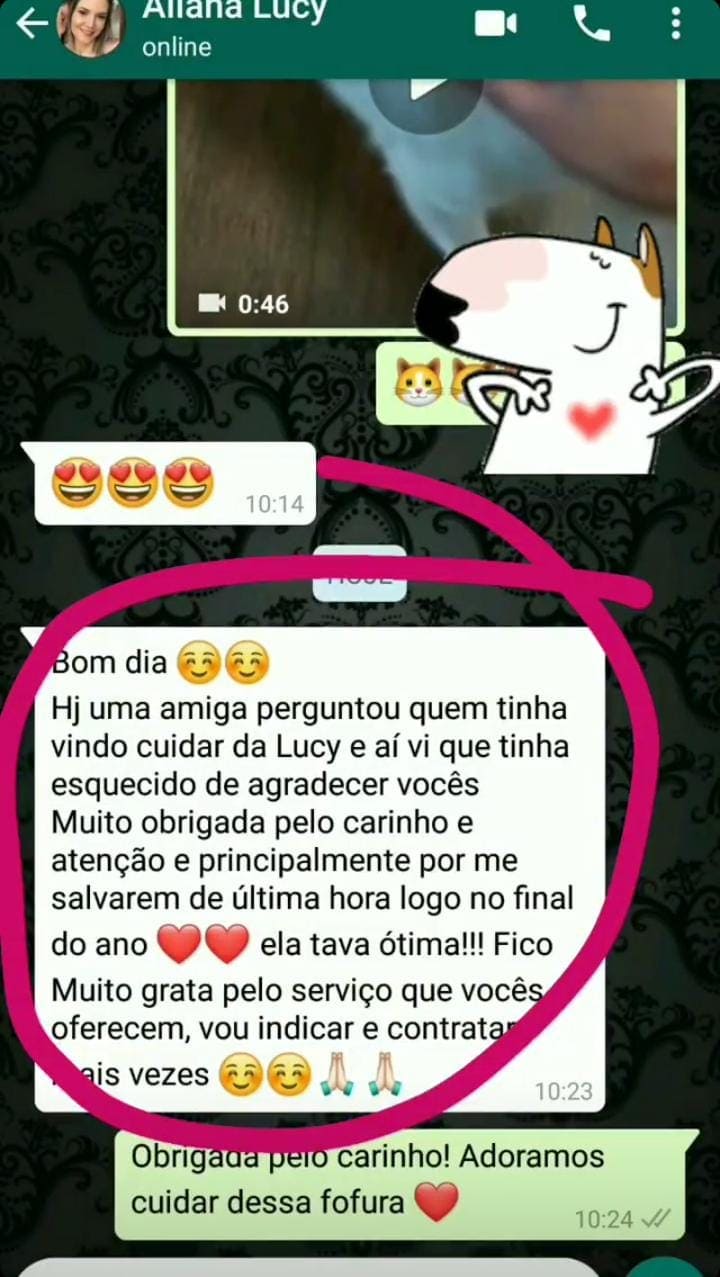 Depoimentos Recanto Pet