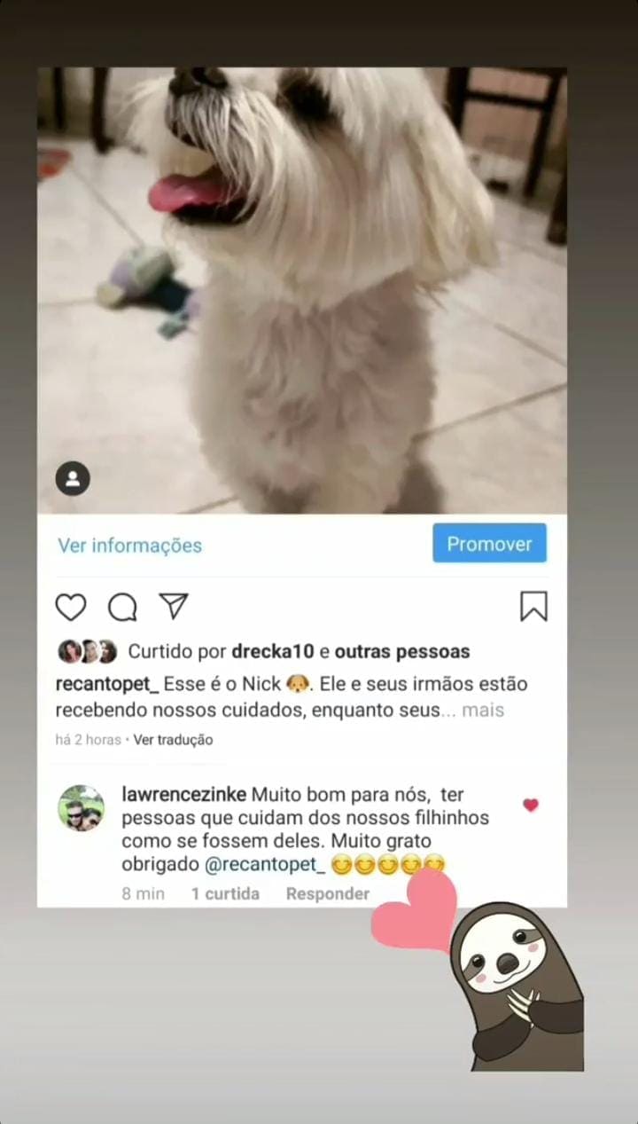 Depoimentos Recanto Pet